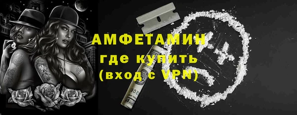 прущие грибы Абаза