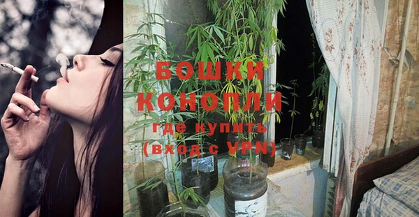 ПСИЛОЦИБИНОВЫЕ ГРИБЫ Ладушкин