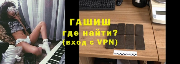 прущие грибы Абаза