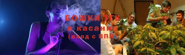 прущие грибы Абаза