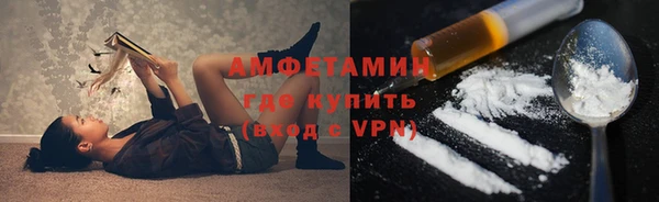прущие грибы Абаза