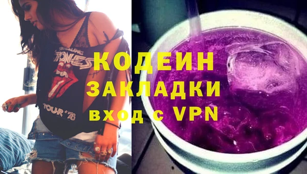 прущие грибы Абаза
