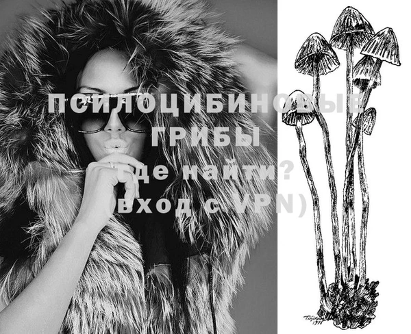 прущие грибы Абаза