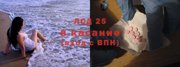 прущие грибы Абаза