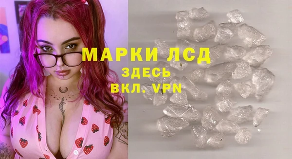 прущие грибы Абаза