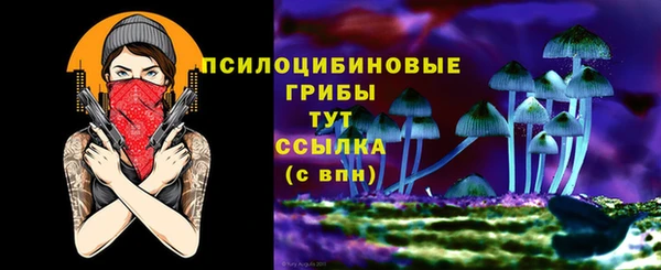 ешки Абинск