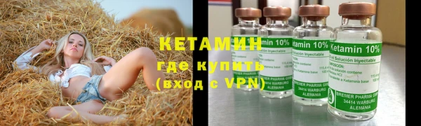 прущие грибы Абаза