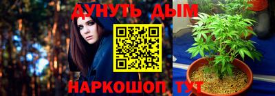 марихуана Новодвинск
