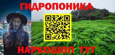 метадон Новозыбков