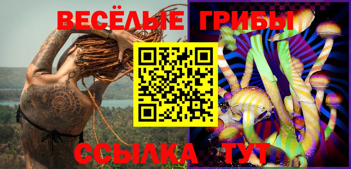 Электросталь  Галлюциногенные грибы Psilocybe  Галлюциногенные грибы мицелий  Вход с VPN 